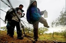 Amnesty Plan Criticized