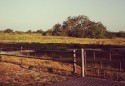 Texas Border Volunteers Working to Curb Growing Illegal Immigrant Crossings into South Texas
